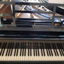 Flügel Blüthner 190