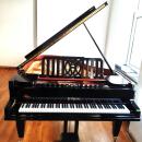 Salonflügel Ed.Seiler 195