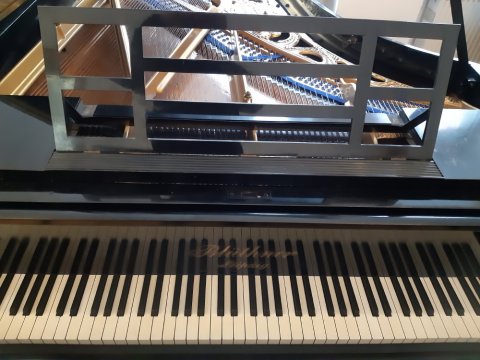 Blüthner Flügel 190