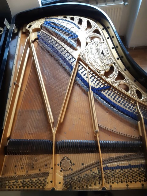 Blüthner Flügel 190