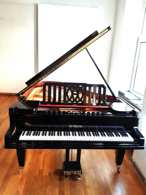 Ed.Seiler Salonflügel 195