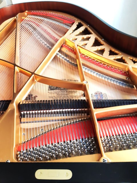 Ed.Seiler Salonflügel 195