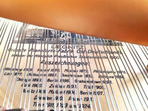 Ed.Seiler Salonflügel 195